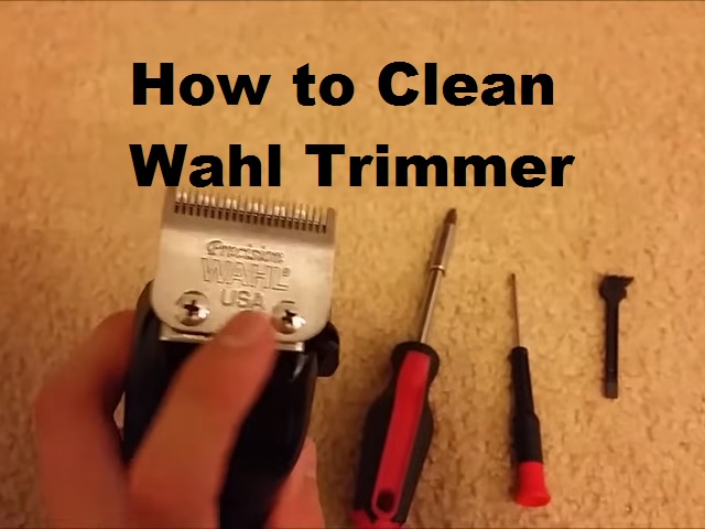 How to Clean Wahl Trimmer