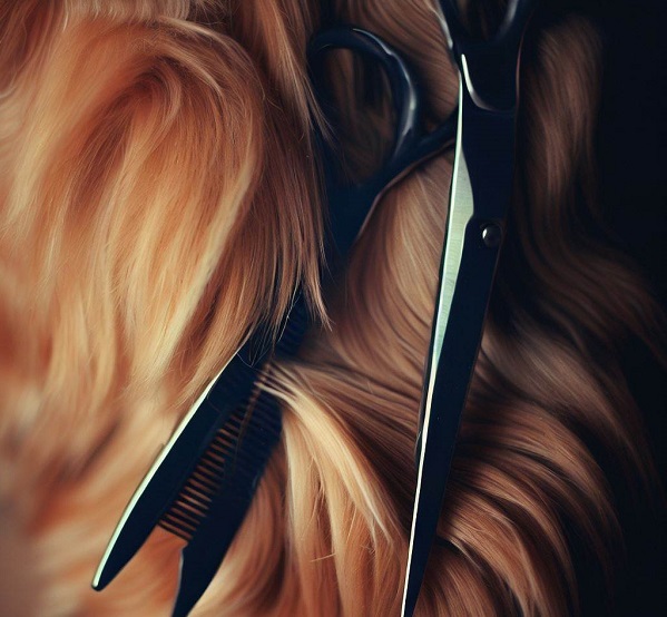 Can I Use Dog Scissors on Human Hair